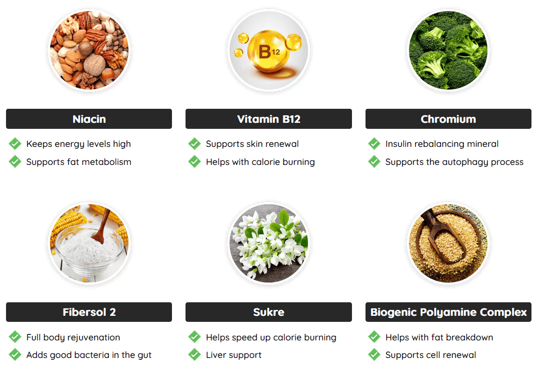 Fast Lean Pro Natural Ingredients